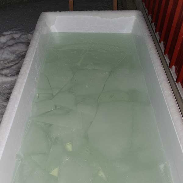 White plastic interior liner for a cold plunge tub