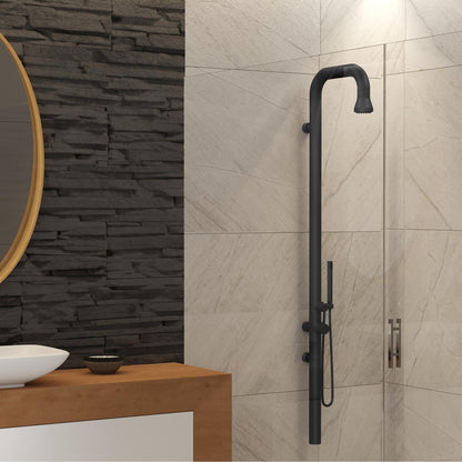 Poseidon 1066-GMB handshower and pressure balancing controls